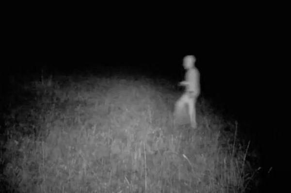 美国猎人的隐藏摄像头拍摄到了传说中的“小灰人”