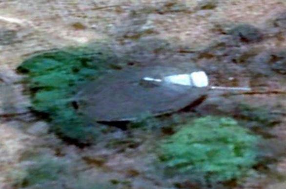 google地图发现的非洲“坠毁UFO”真相揭秘