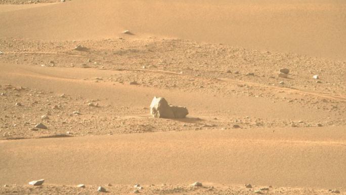 NASA“毅力号”探测器在火星上发现古怪的“猫面包石”