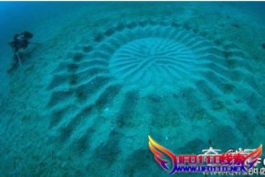 海底“麦田怪圈”的神秘图案