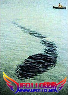 寻找探索跟踪神农架“水怪”真相之谜