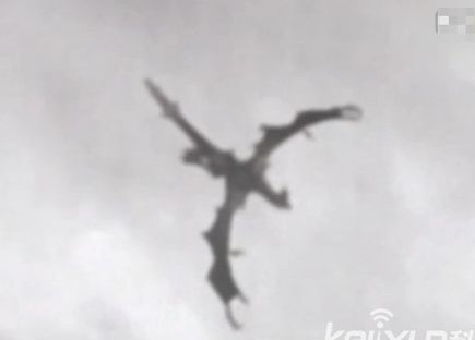 酷似恐龙神秘生物在空中飞行视频截图