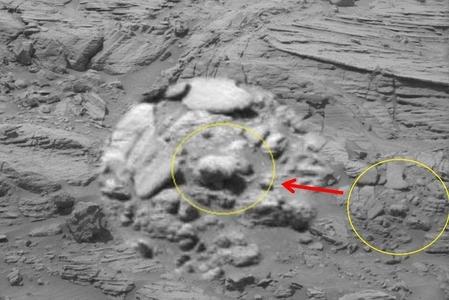 火星照片上发现熊 呼吁联合国调查