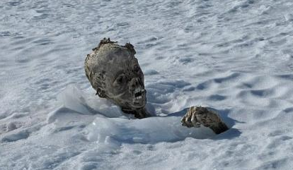 墨西哥雪山发现干尸几具疑似外星人尸体