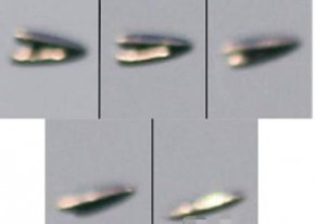 土耳其拍到清晰的UFO照片 这次还打开了舱门?