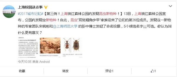 上海现昆虫新物种