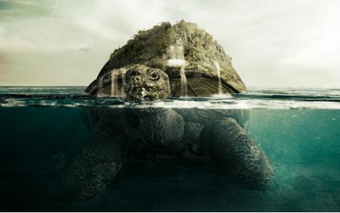 2、不死生物-海龟