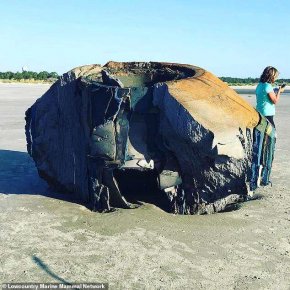 南卡罗来纳州的海滩出现不明物体